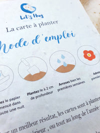 Carte à planter " 100% graines d'amour " , Graines de flues des champ